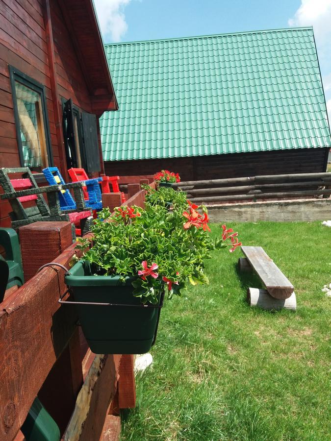 Hostal Boskovica Brvnare Žabljak Exterior foto